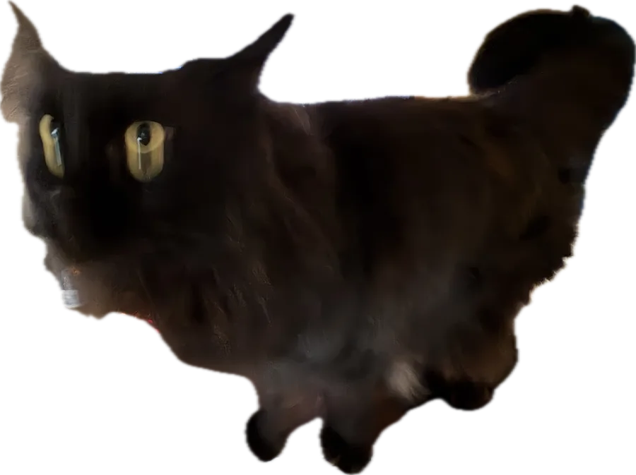 Ymir, très satisfaite